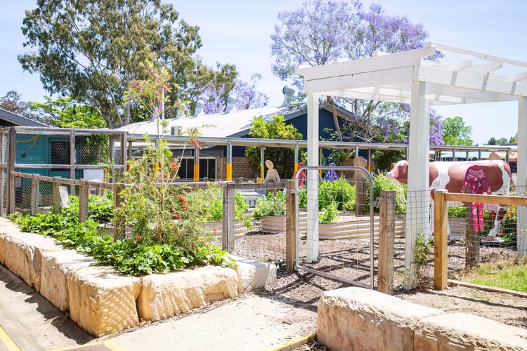 Mawarra Community Garden